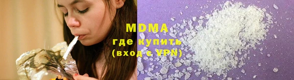 индика Осташков