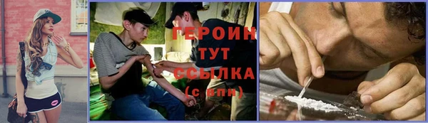 индика Осташков