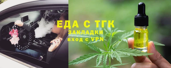 индика Осташков