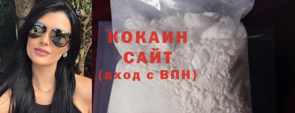 индика Осташков