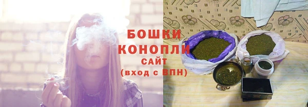 индика Осташков