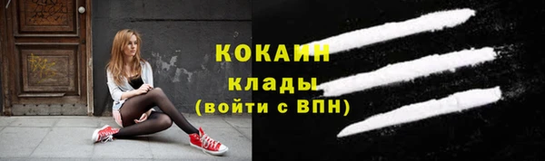 индика Осташков