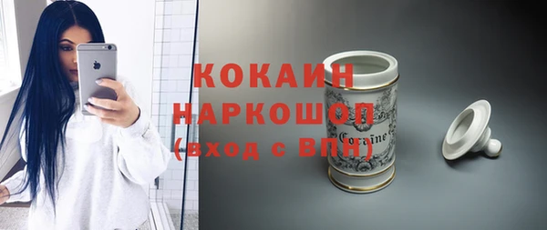 индика Осташков