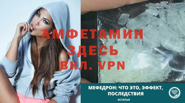 индика Осташков