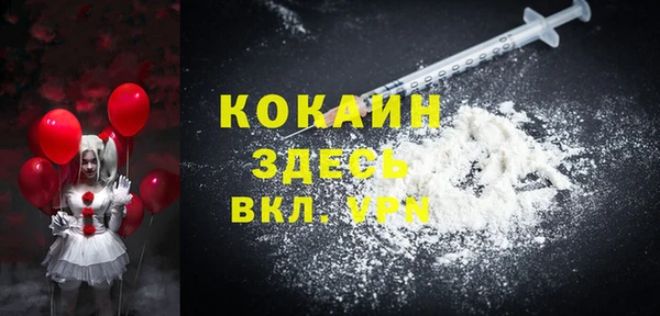 индика Осташков