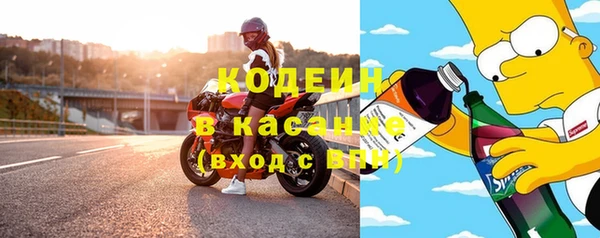 индика Осташков