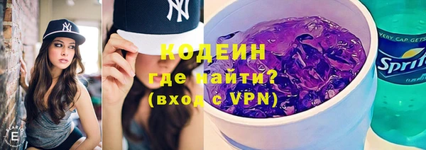 индика Осташков