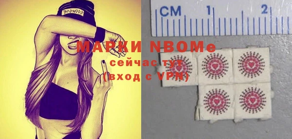 индика Осташков
