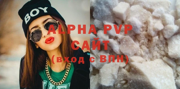 индика Осташков