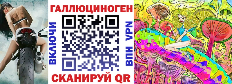сколько стоит  Кузнецк  Псилоцибиновые грибы Psilocybe 