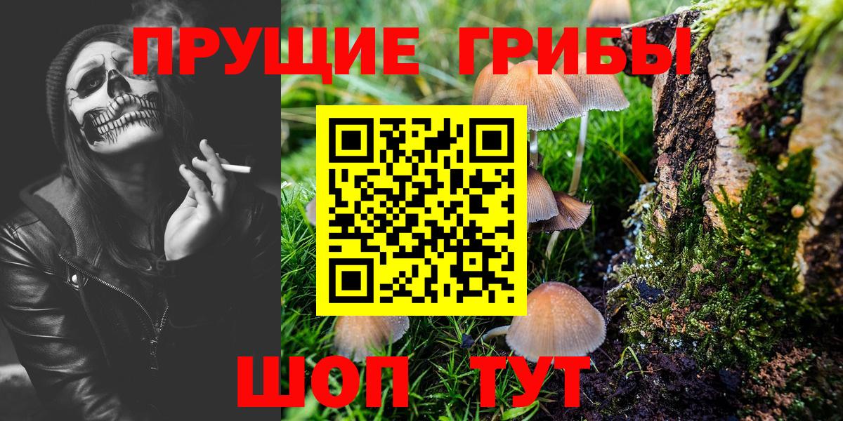 Галлюциногенные грибы Cubensis  Вход с VPN  Галлюциногенные грибы Cubensis  Кузнецк 