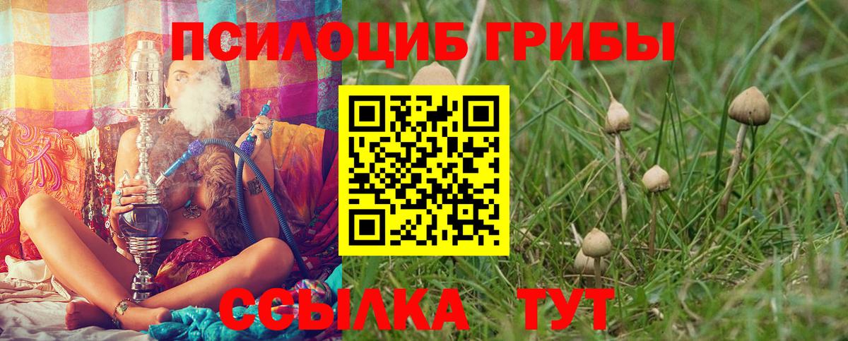 Псилоцибиновые грибы мицелий  Галлюциногенные грибы GOLDEN TEACHER  Кузнецк 