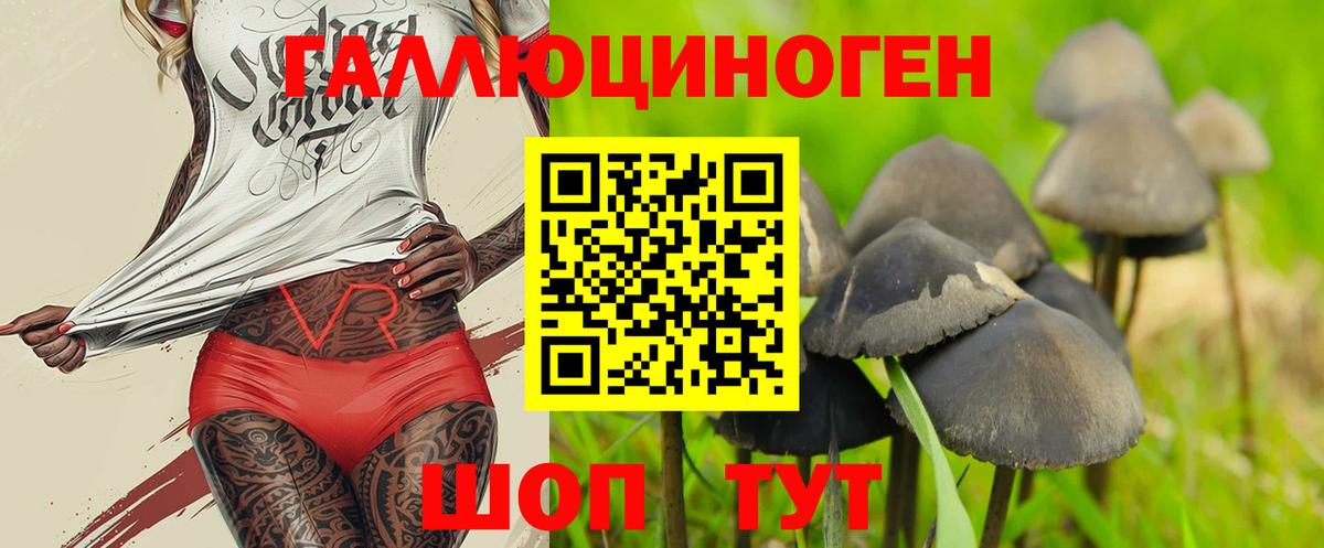 Кетамин  Вход с VPN  Мефедрон   Гашиш  Кузнецк  Канабис 